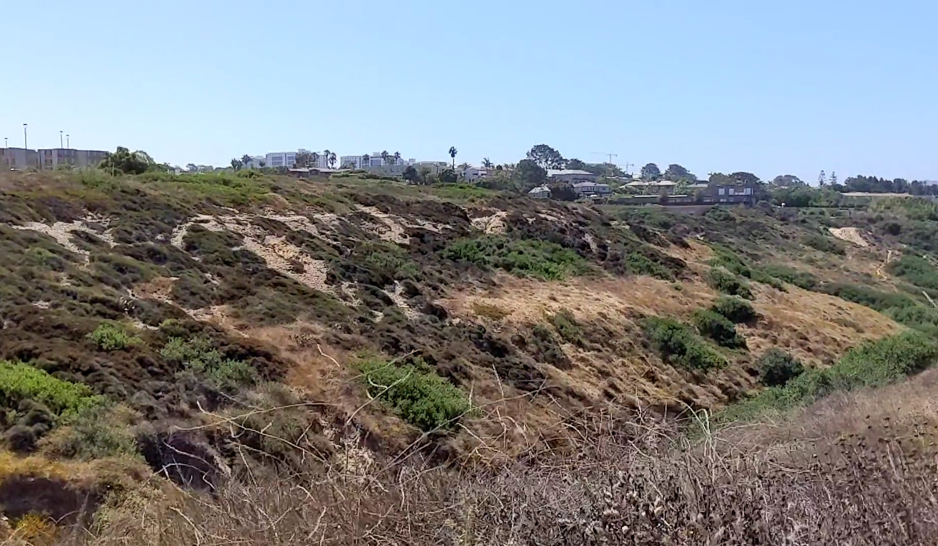Grassy brown hills next to a La Jolla beach