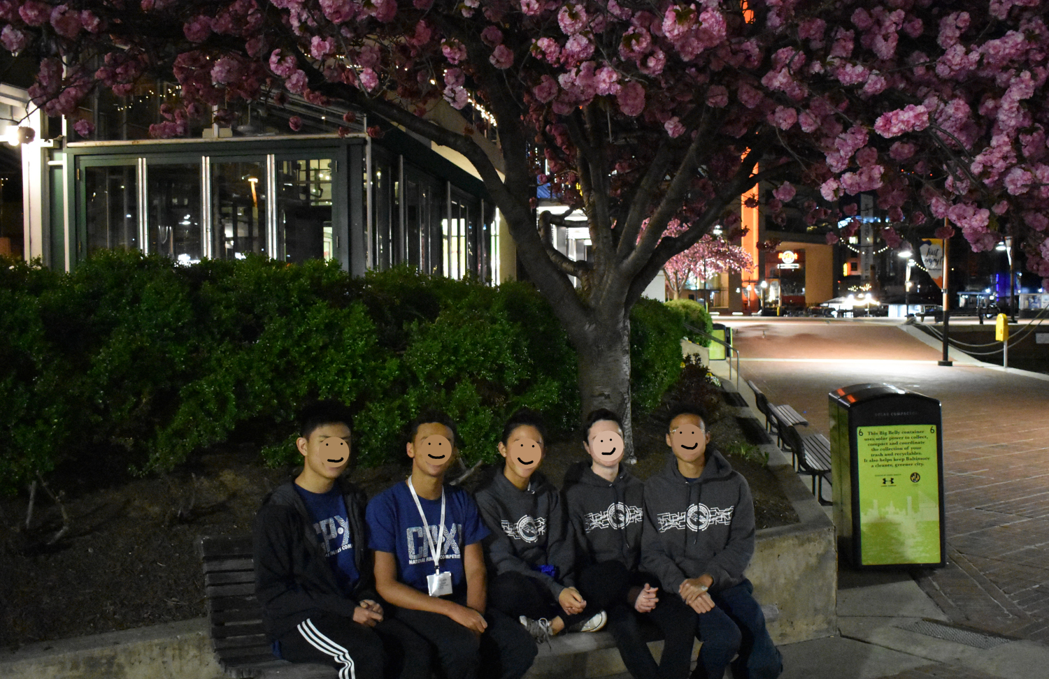 Team picture